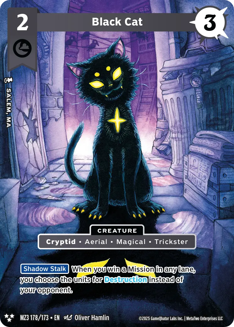 Black Cat